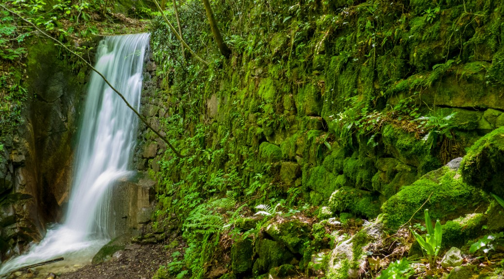 Rastenbachklamm: Wasserfall V