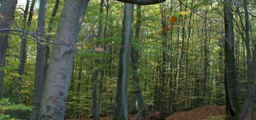 Treppe