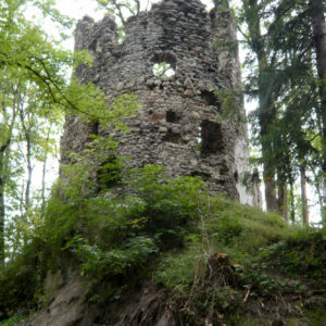Burgruine Fluhenstein