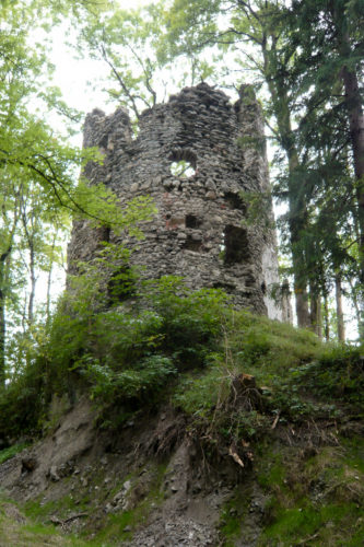 Burgruine Fluhenstein