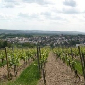 Panorama-Blick auf Kiedrich