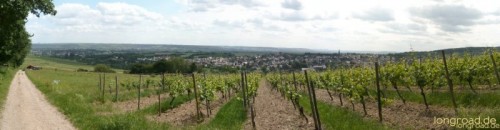 Panorama-Blick auf Kiedrich