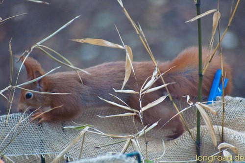 KONICA MINOLTA DIGITAL CAMERA