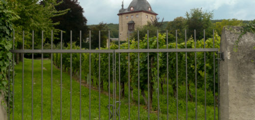 Schloss Vollrads VI