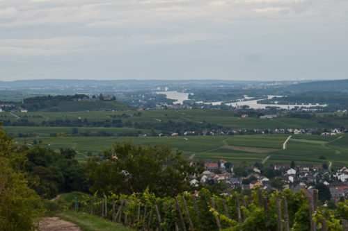 Blick nach Johannisberg