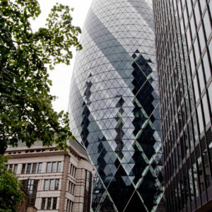 The Gherkin I