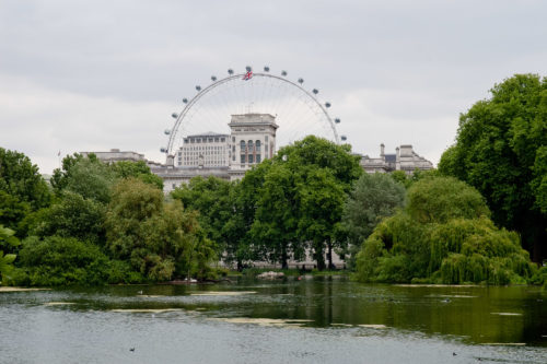 Eye of London I