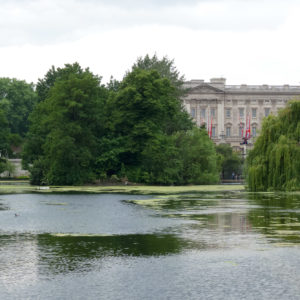 Buckingham Palace VI