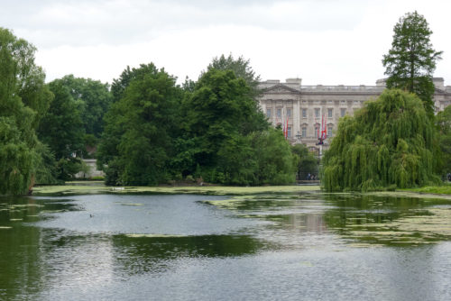 Buckingham Palace VI