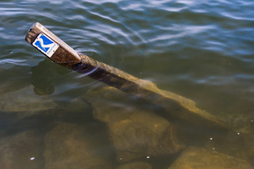 Schwimmen statt Wandern