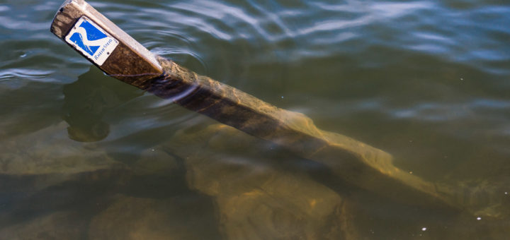 Schwimmen statt Wandern