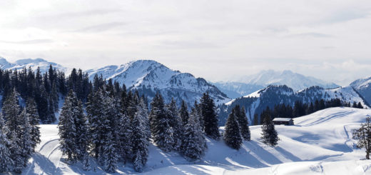 Winterwunderland III