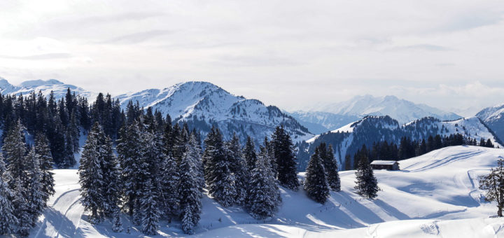 Winterwunderland III