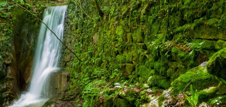 Rastenbachklamm: Wasserfall V