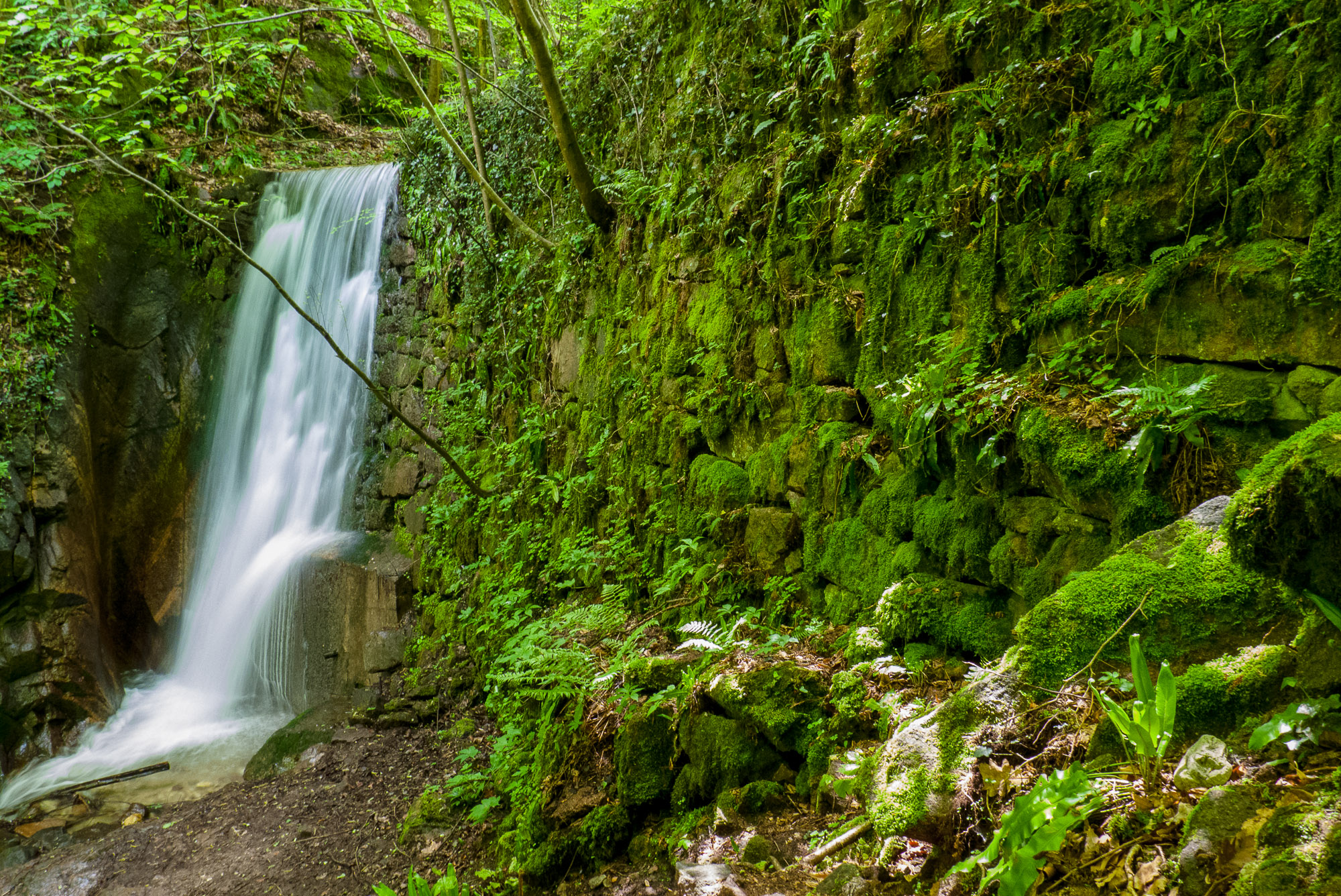 Rastenbachklamm: Wasserfall V