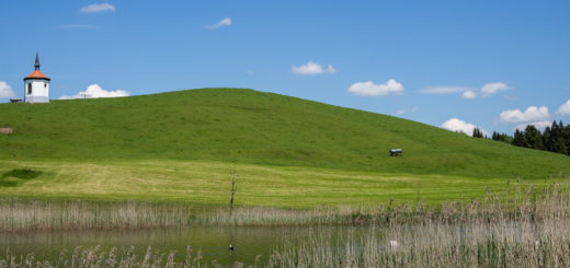 Drumlin