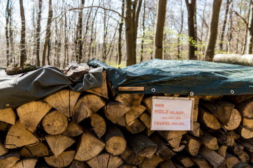 Wer Holz klaut...